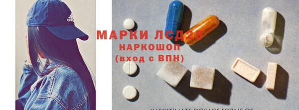 сатива Новодвинск