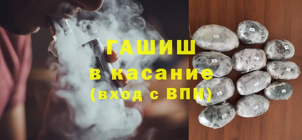 сатива Новодвинск