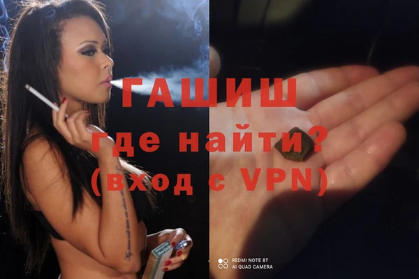 сатива Новодвинск
