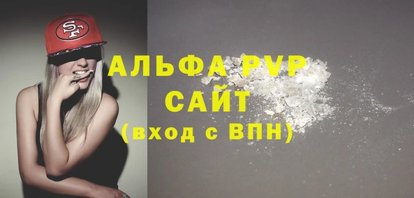 прущие крисы Новозыбков
