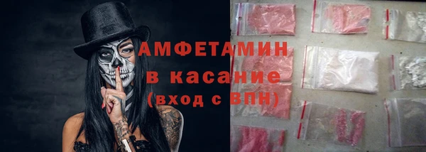 сатива Новодвинск