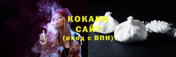 сатива Новодвинск