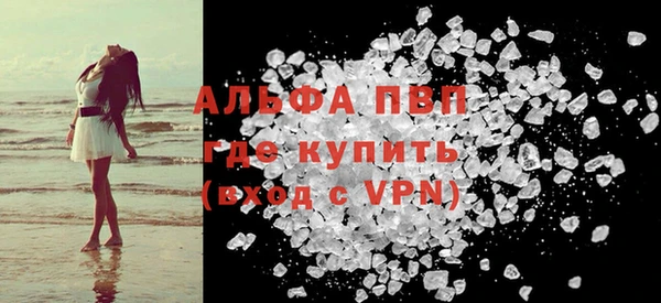 сатива Новодвинск