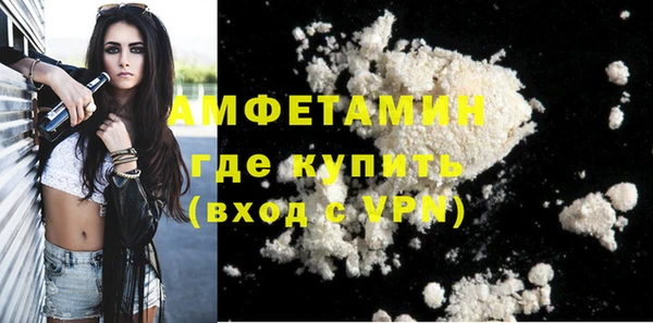 сатива Новодвинск