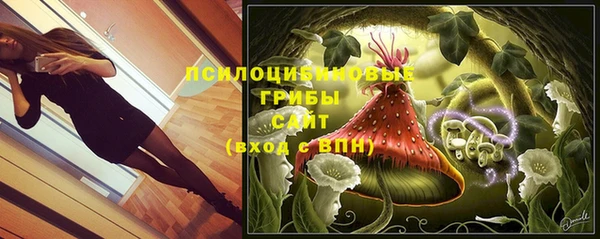 прущие крисы Новозыбков