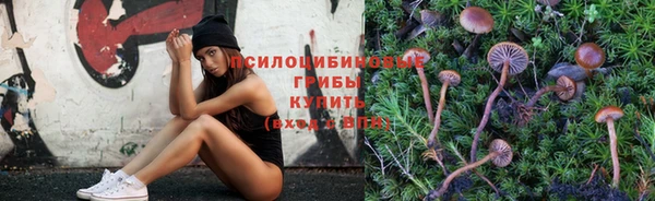 прущие крисы Новозыбков