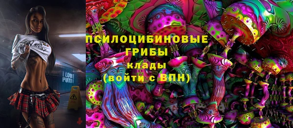 сатива Новодвинск