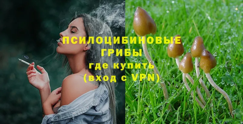 Псилоцибиновые грибы MAGIC MUSHROOMS  как найти наркотики  Мамадыш 