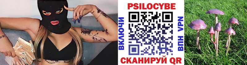 Галлюциногенные грибы Psilocybine cubensis  Мамадыш 